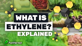 What is Ethylene [upl. by Noemi]