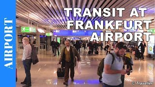 TRANSIT WALK AT FRANKFURT Airport FRA Terminal 1  Connection Flight Transfer Arriving amp Departing [upl. by Vedetta506]